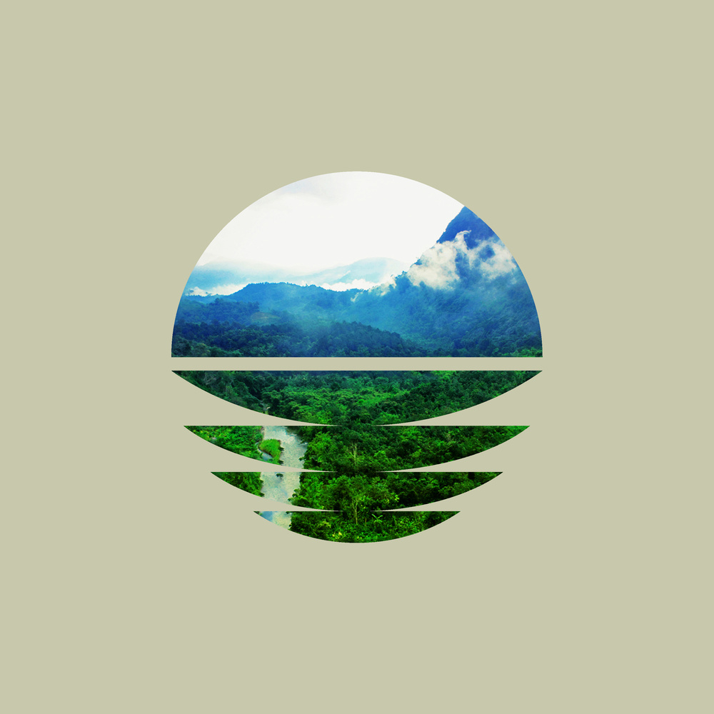 Jungle Nightfall II