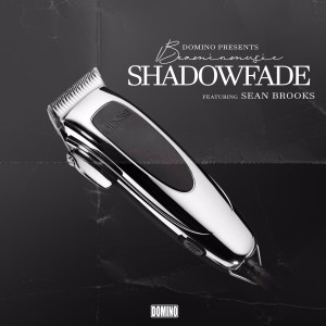 Listen to Shadowfade (Explicit) song with lyrics from Beaminmusic