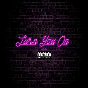 Statizz的專輯Turn You On (Radio Edit)