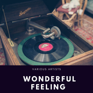 Hugo Winterhalter Orchestra的專輯Wonderful Feeling