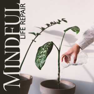 ดาวน์โหลดและฟังเพลง Emanate Confidence พร้อมเนื้อเพลงจาก Healing Tranquility Paradise