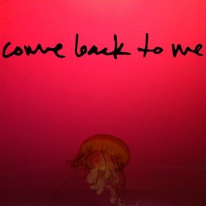 ดาวน์โหลดและฟังเพลง Come Back to Me พร้อมเนื้อเพลงจาก Copperpot