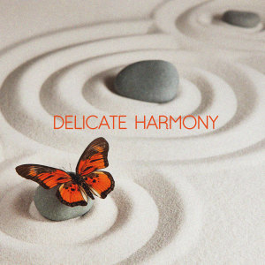 Album Delicate Harmony from Eric LaCosta
