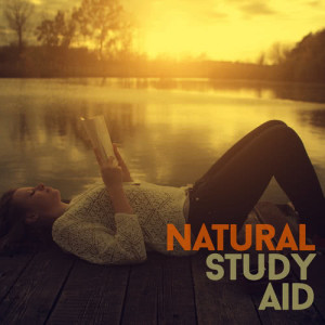 收聽Exam Study Nature Music Nature Sounds的Afternoon Woodland歌詞歌曲