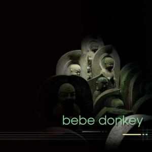 ดาวน์โหลดและฟังเพลง Donkey พร้อมเนื้อเพลงจาก MaryClare Brzytwa