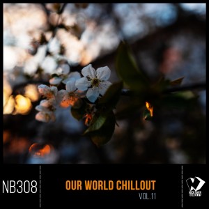 Album Our World Chillout, Vol. 11 from Various