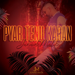 Album Pyar Tenu Karan from Junaid Malik