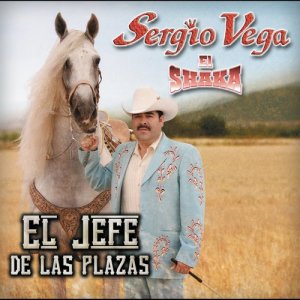 ดาวน์โหลดและฟังเพลง Micha Por Adela (Album Version) พร้อมเนื้อเพลงจาก Sergio Vega