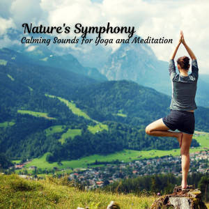 Album Nature's Symphony: Calming Sounds for Yoga and Meditation oleh Pure Yoga Music