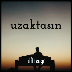 Album Uzaktasın from 