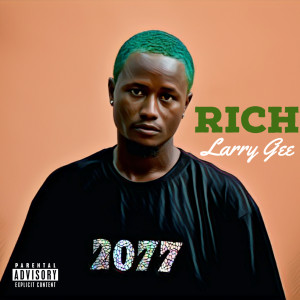 Listen to Rich (Explicit) song with lyrics from Larry Gee