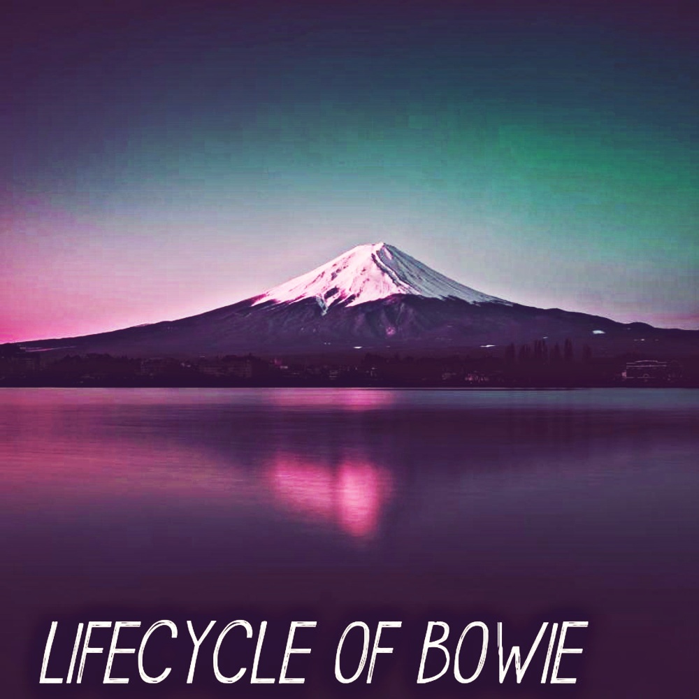 Lifecycle Of Bowie