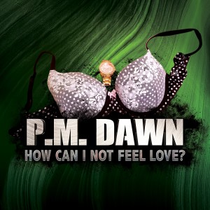 ดาวน์โหลดและฟังเพลง How Can I Not Feel Love? พร้อมเนื้อเพลงจาก P.M. Dawn