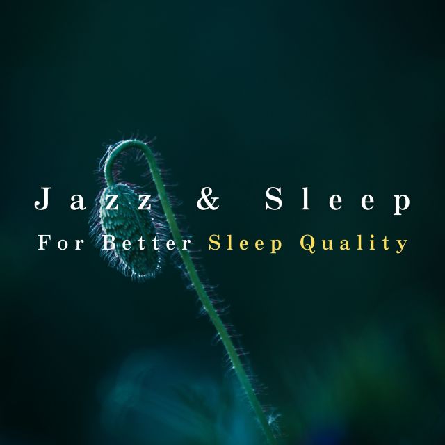 收听Dream House的Improved Dreamscapes歌词歌曲