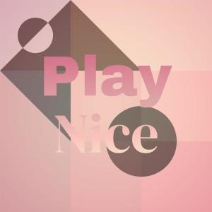 Album Play Nice from Various
