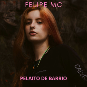 อัลบัม PELAITO DE BARRIO ศิลปิน Felipe Mc