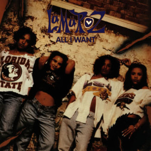 ดาวน์โหลดและฟังเพลง All I Want (Remix) พร้อมเนื้อเพลงจาก LaMaRoZ
