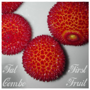 Album First Fruit from 