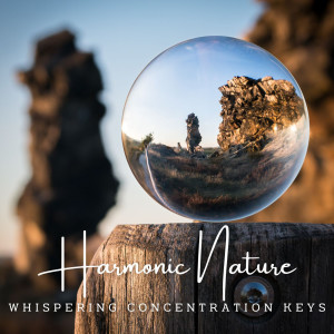 Piano Focus: Harmonic Nature Concentration