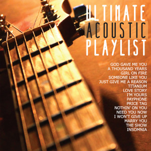Ultimate Acoustic Playlist (Acoustic Version) dari Iwan Fals & Various Artists