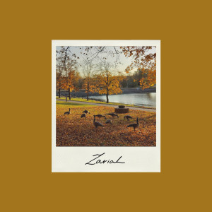 收听Zariah的Leaves歌词歌曲