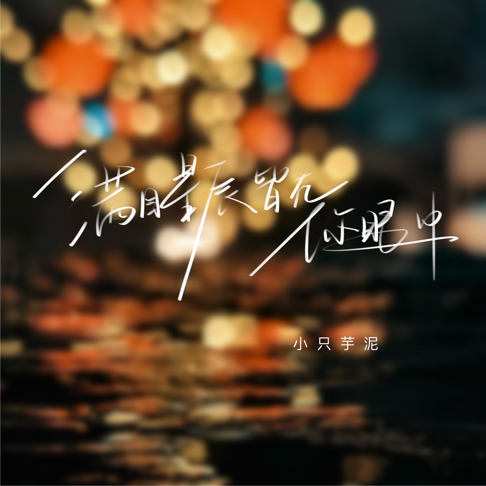 满目星辰皆在你眼中