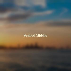 Album Seabed Middle from 
