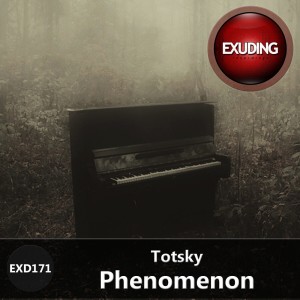 收聽Totsky的Phenomenon (Alimov Remix)歌詞歌曲