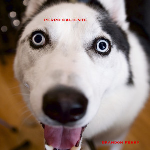Album Perro Caliente from Brandon Perry