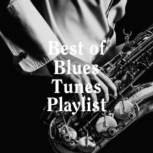 Buddy Blues的專輯Best of Blues Tunes Playlist