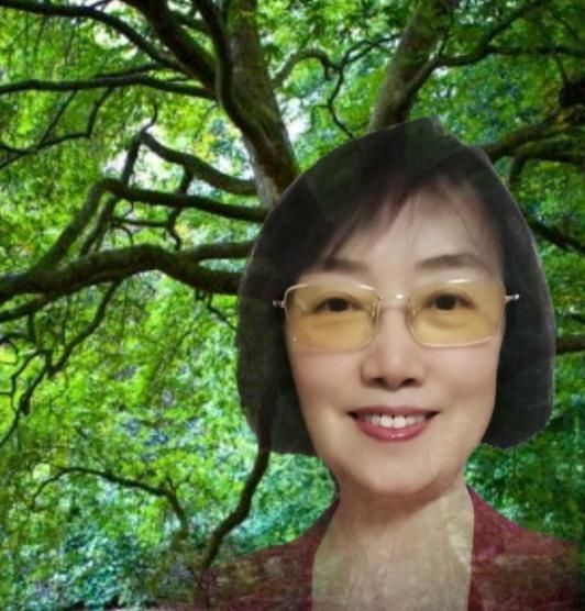 何滨（老树）