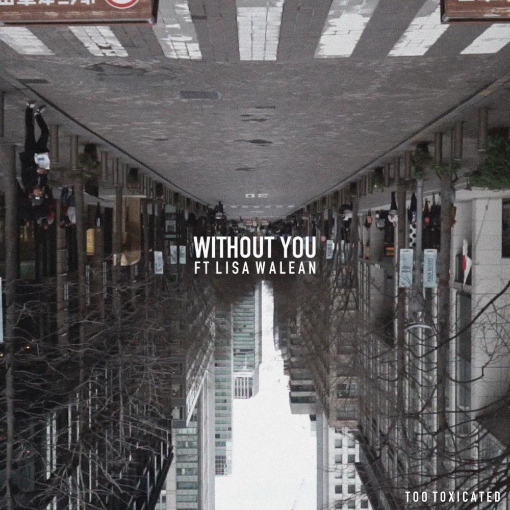 Without You(feat. Lisa Walean)