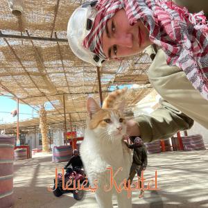 Album Neues Kapitel (Explicit) from 