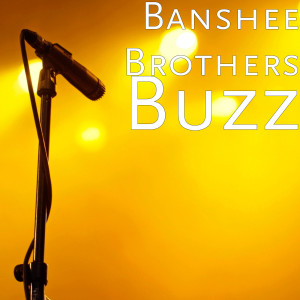 收聽Banshee Brothers的Buzz歌詞歌曲