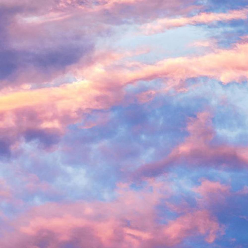 Aesthetic Dreams