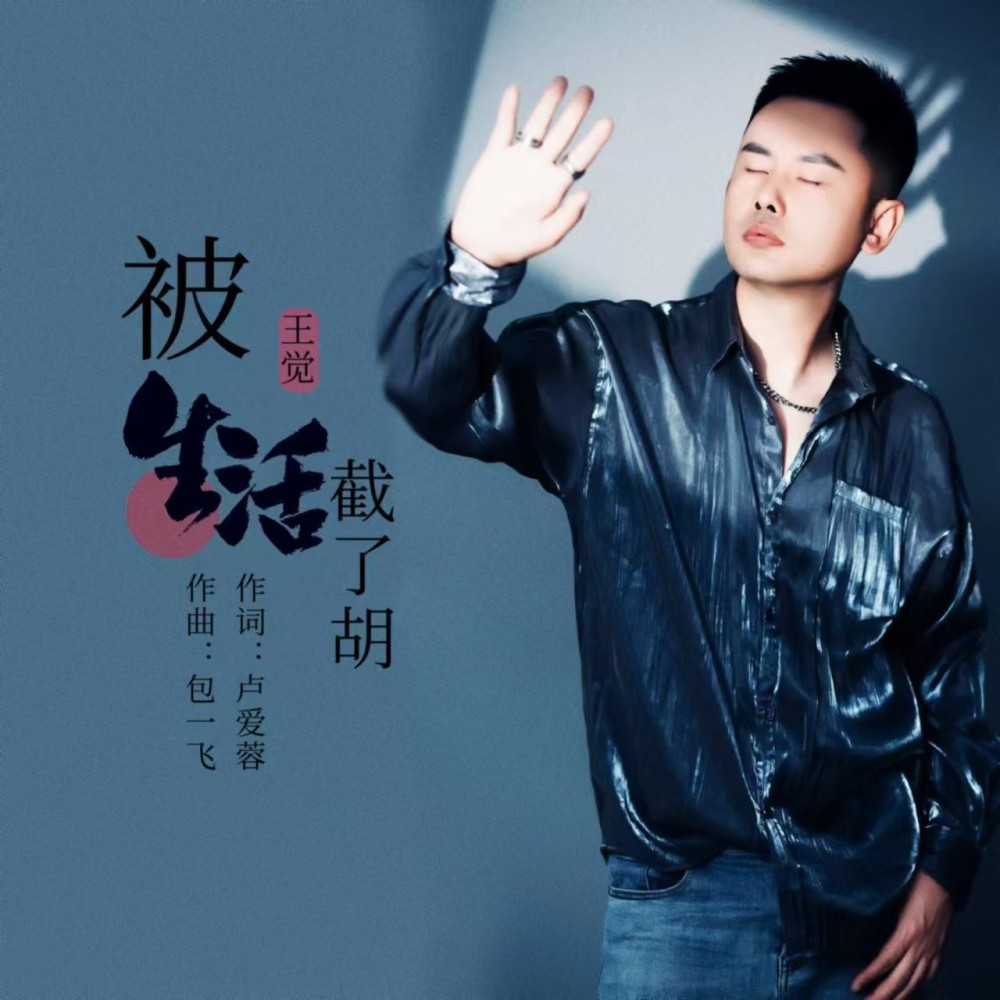 被生活截了胡（DJ翊轩慢摇版） (完整版)
