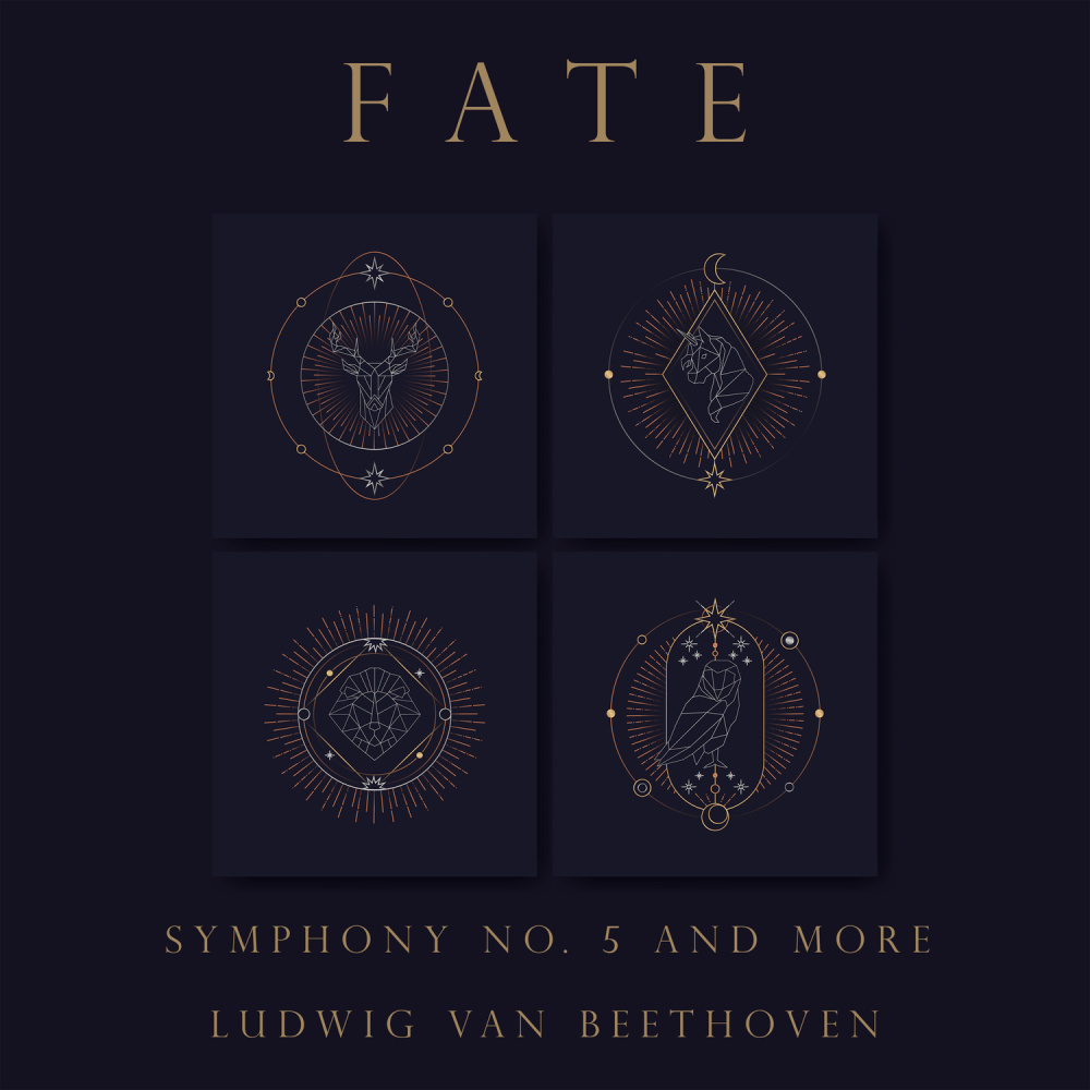 Beethoven: 12 German Dances, WoO 8: No. 12