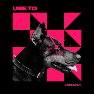 Album Use To oleh LottaZay