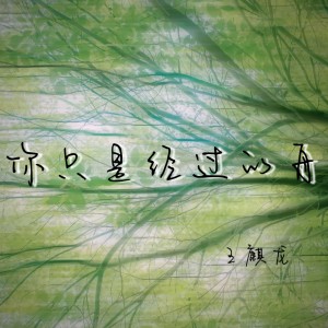 Listen to 你只是经过的舟 song with lyrics from 王麒龙