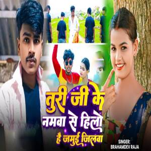 Album Turi Ji Ke Namawa Se Hilo Hai Jamui Jilwa from Brahamdev Raja