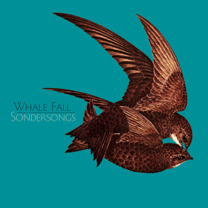 Album Sondersongs from Whale Fall