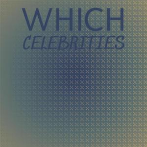 Various的专辑Which Celebrities