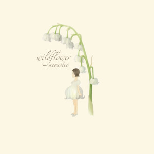 收聽yung kai的wildflower (acoustic|slowed down)歌詞歌曲