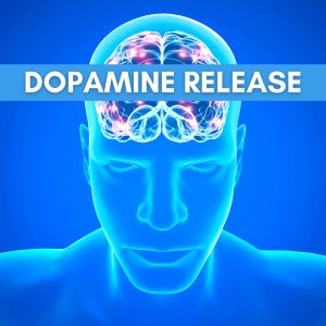 Album Release Dopamine from Dopamine Stimulator