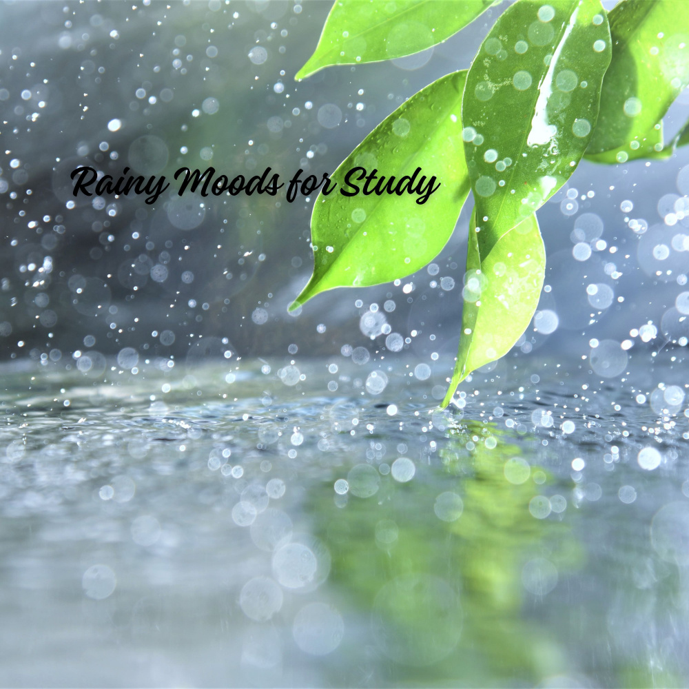 Moist Drizzle