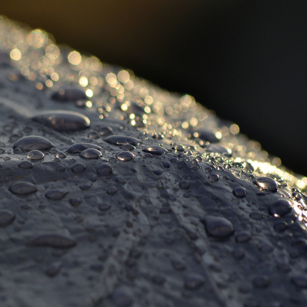 Rain's Calm for Serene Relaxation