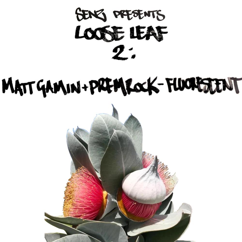 Fluorescent (feat. Matt Gamin & PremRock|Explicit)