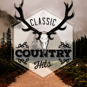 收聽American Country Hits的It Ain't Me Babe歌詞歌曲
