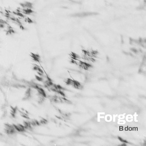 Album Forget from B dom