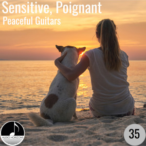 Album Sensitive, Poignant 35 Peaceful Guitars from Alan Paul Ett